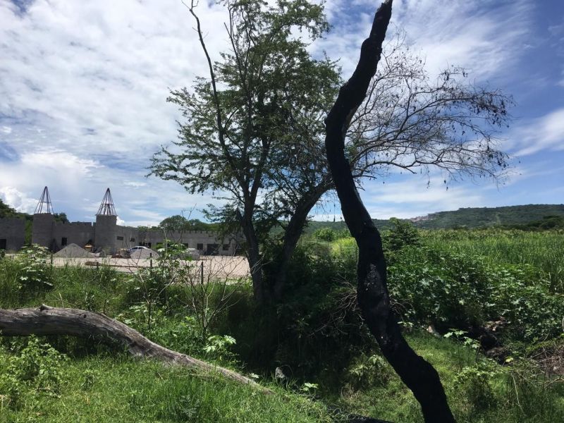 Terrenos en Jicarero Tequesquitengo