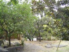 {"esp":"OTRA VISTA DEL ANDADOR"}