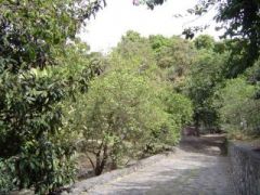 {"esp":"ENTRADA AL TERRENO"}