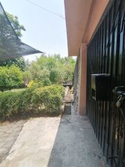 {"esp":"Agua de Apantle","ing":""}